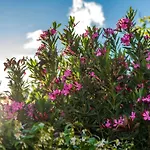 The Whitestone アパート